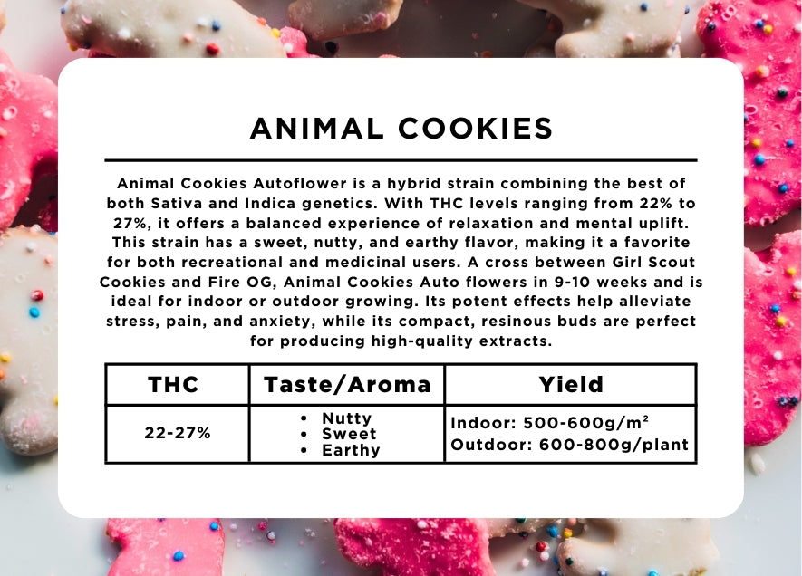 Animal Cookies