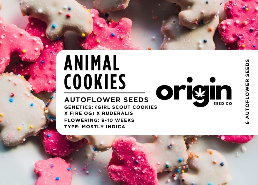 Animal Cookies
