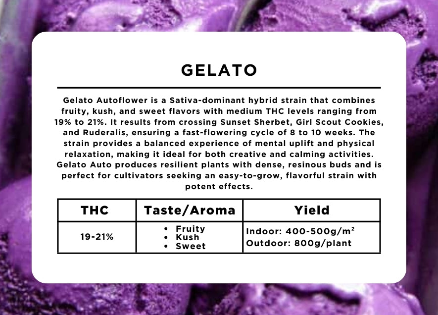 Gelato
