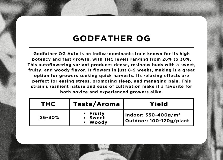 Godfather OG