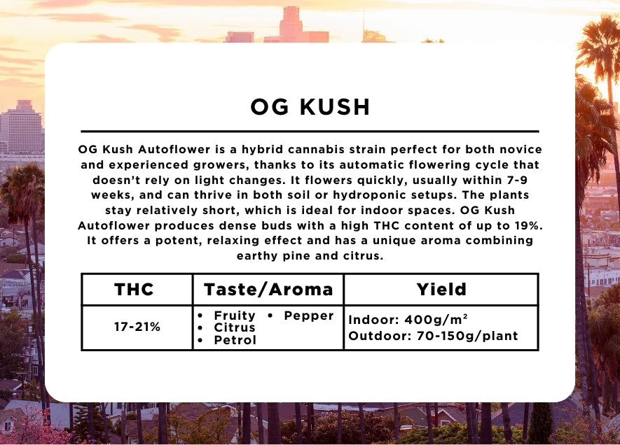 OG Kush