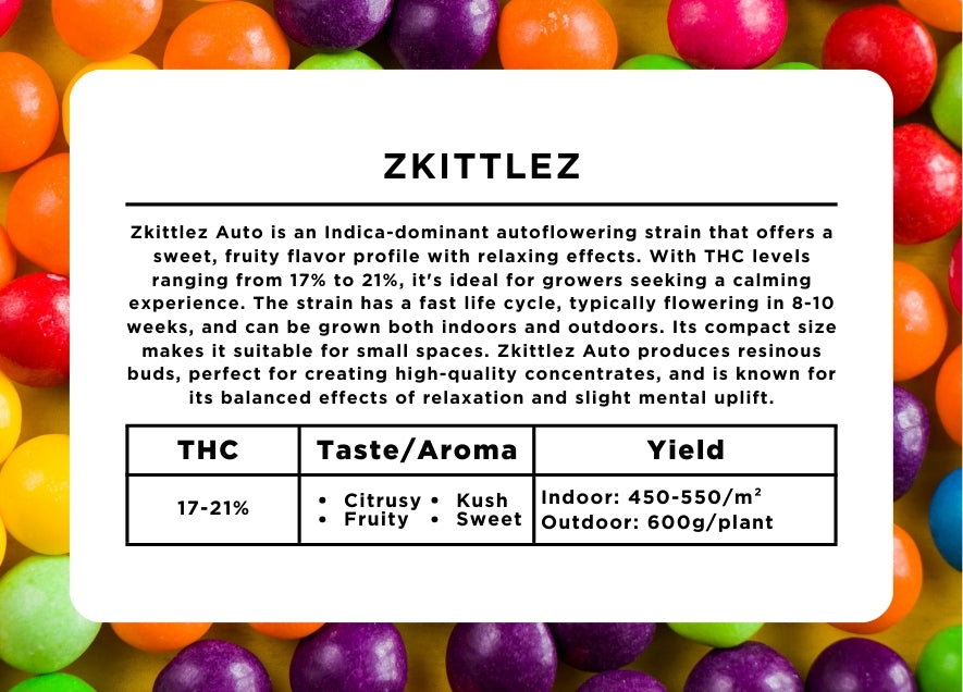 Zkittlez Strain Seeds