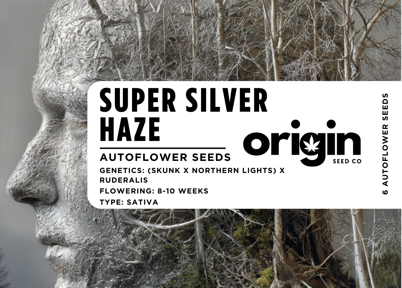 Super Silver Haze