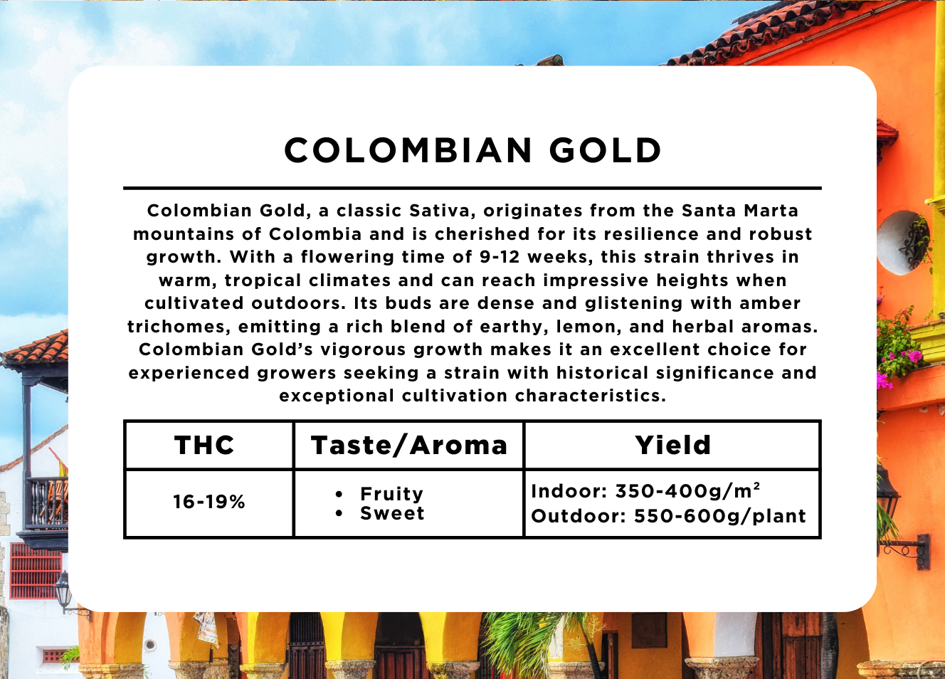 Colombian Gold