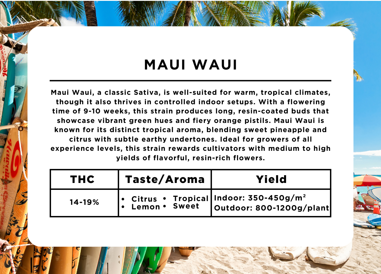 Maui Waui