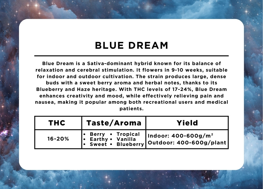 Blue Dream