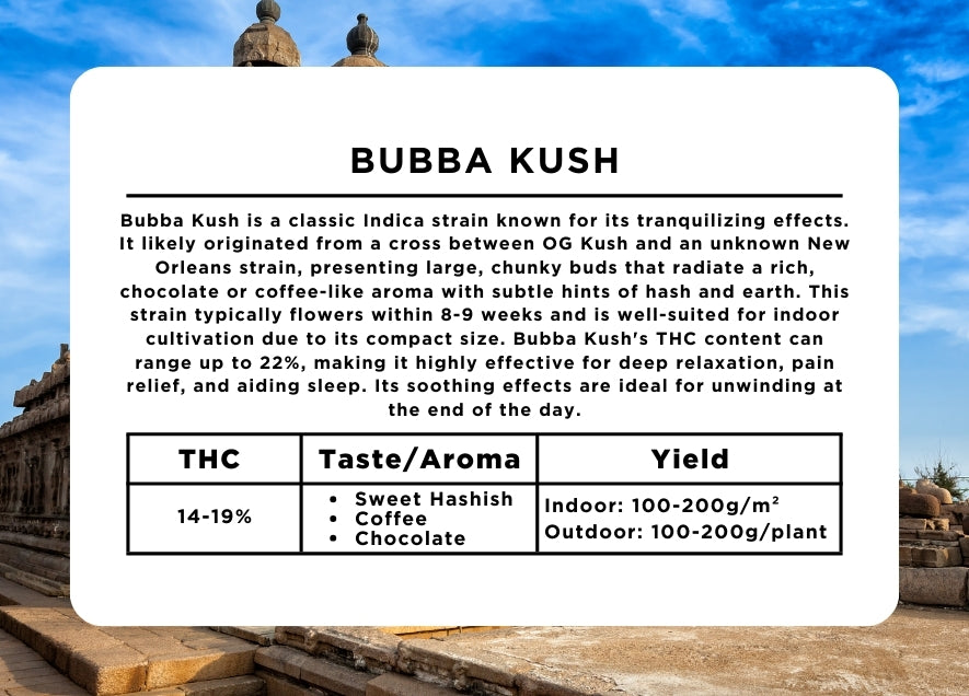 Bubba Kush