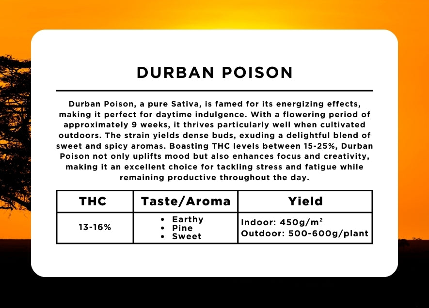 Durban Poison