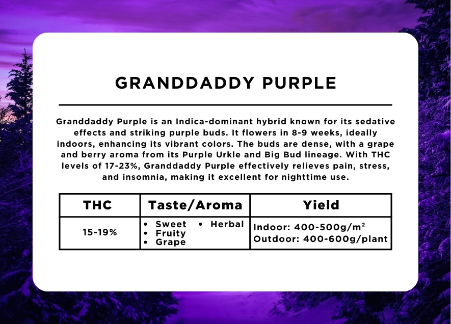 Granddaddy Purple