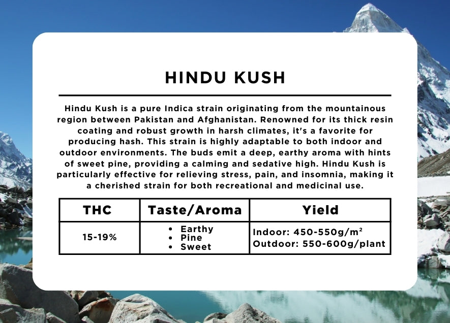 Hindu Kush