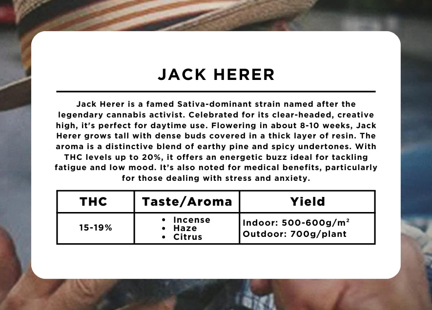 Jack Herer