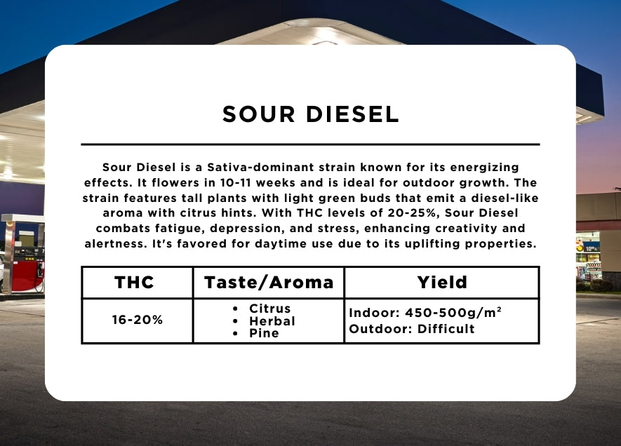 Sour Diesel