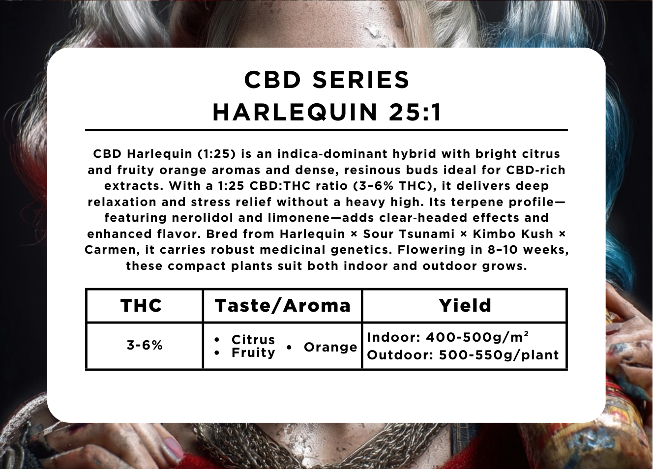 Harlequin 25:1 CBD