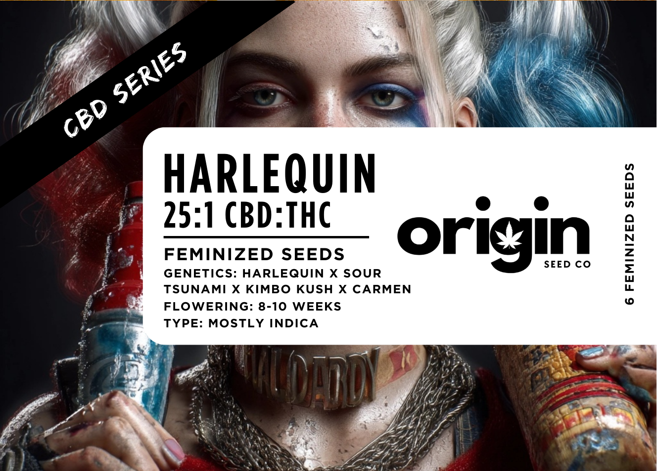 Harlequin 25:1 CBD