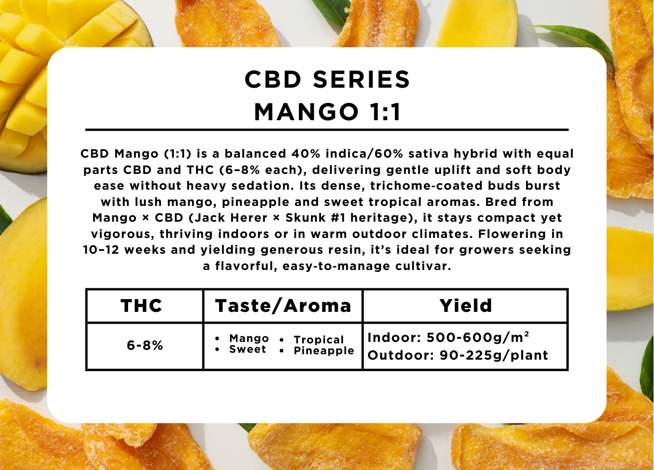 Mango 1:1 CBD