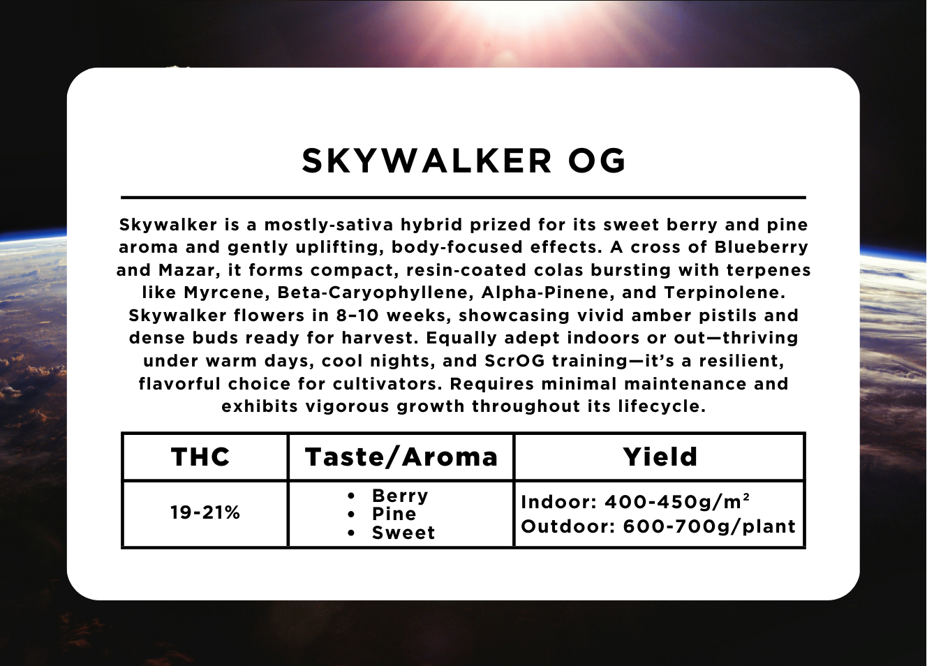 Skywalker OG