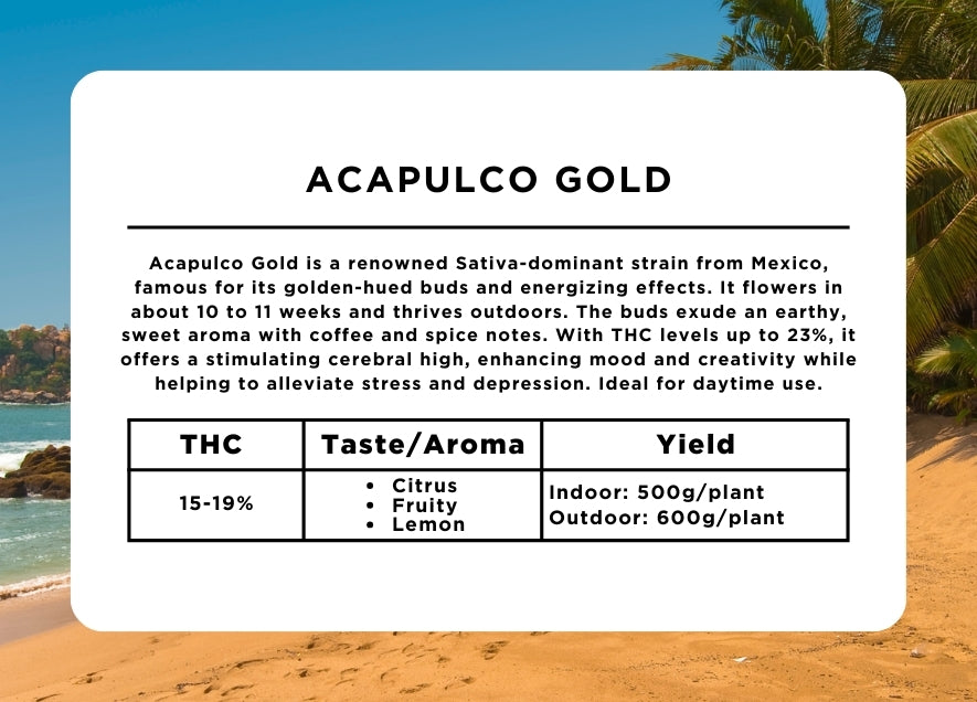 Acapulco Gold