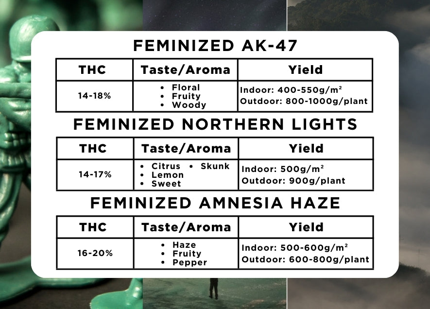 The Old-School Variety Pack Seeds - Buy Online
