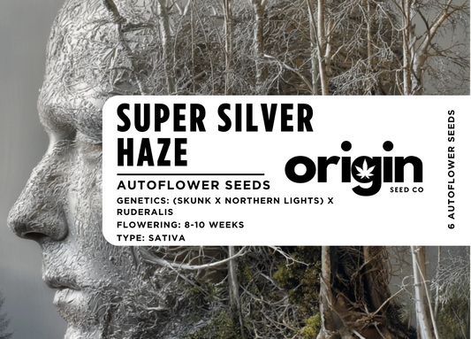 Super Silver Haze