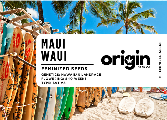 Maui Waui
