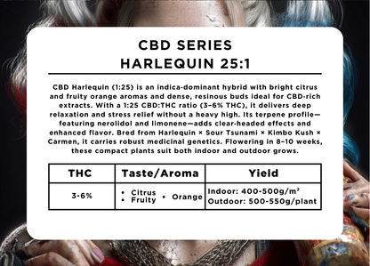 Harlequin 25:1 CBD