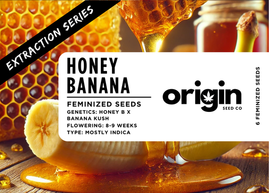 Honey Banana