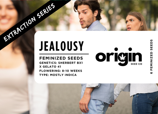 Jealousy