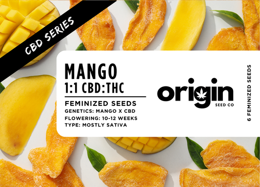 Mango 1:1 CBD