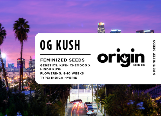 OG Kush