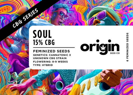 Soul 15% CBG